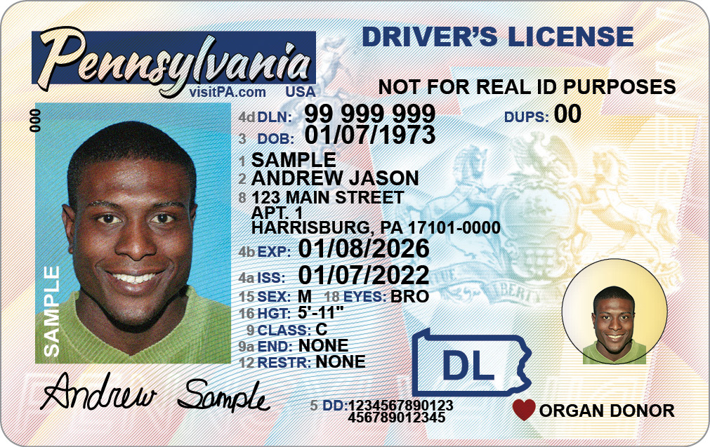 Sample Drivers License with Organ Donor Designation