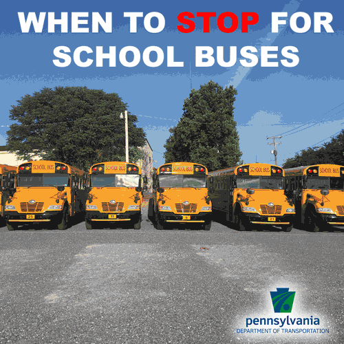 School Bus Safety - When to Stop.gif