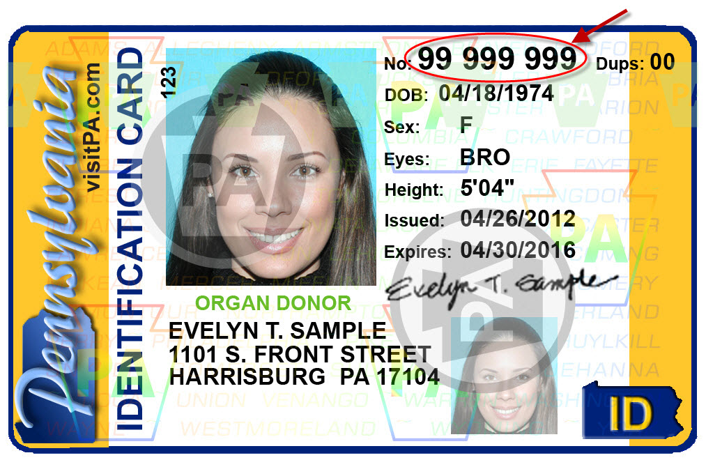 Where Is The Audit Number On Your Texas Drivers License
