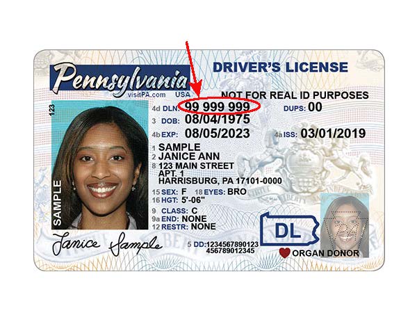 Your Driver's License/Photo ID number can be found to the right of the photograph on your Driver's License/Photo ID card.