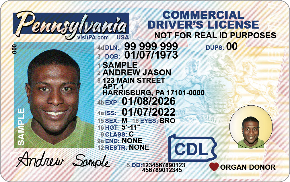 Standard-Issue (Non-Compliant) Commercial Driver's License